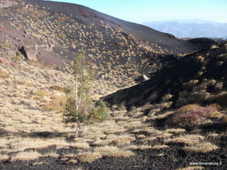 nte Pizzillo-21-10-2012 08-48-50